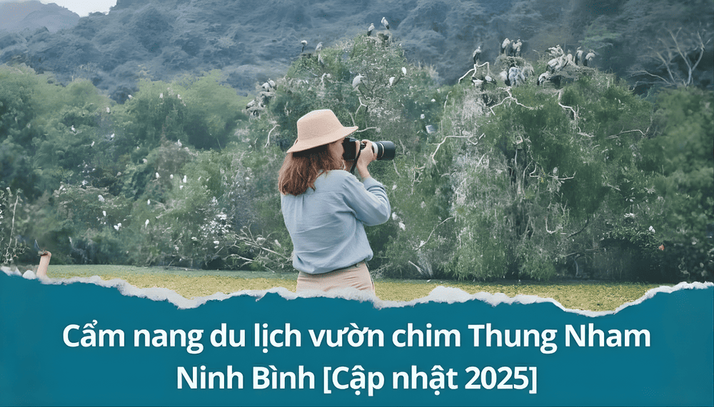 Vườn chim Thung Nham là điểm đến lý tưởng cho những ai yêu thiên nhiên và mong muốn tìm lại sự bình yên giữa núi rừng. Với hệ thống hang động kỳ thú và hàng nghìn loài chim tụ hội, nơi đây hứa hẹn mang đến trải nghiệm du lịch sinh thái đáng nhớ. Bài viết sau sẽ tổng hợp những thông tin cần thiết và kinh nghiệm hữu ích để giúp bạn chuẩn bị cho một chuyến đi trọn vẹn, thú vị và giàu trải nghiệm giữa thiên nhiên hoang sơ.